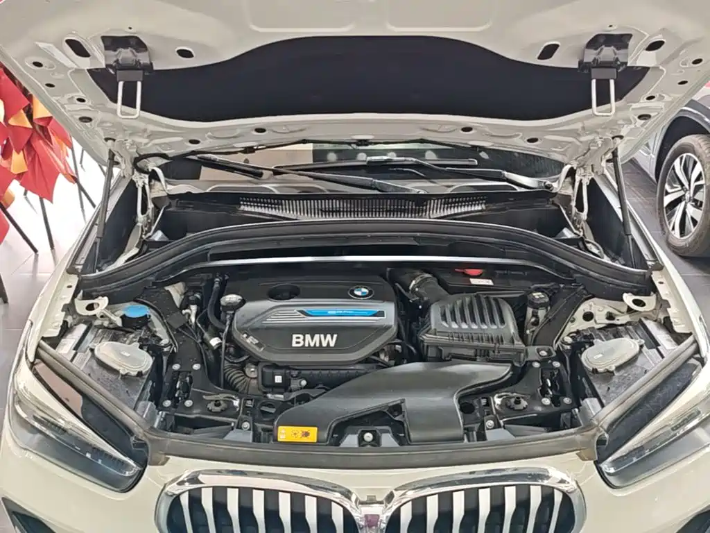 BMW X1 New Energy 2021 2020 xDrive30Le Premium Edition