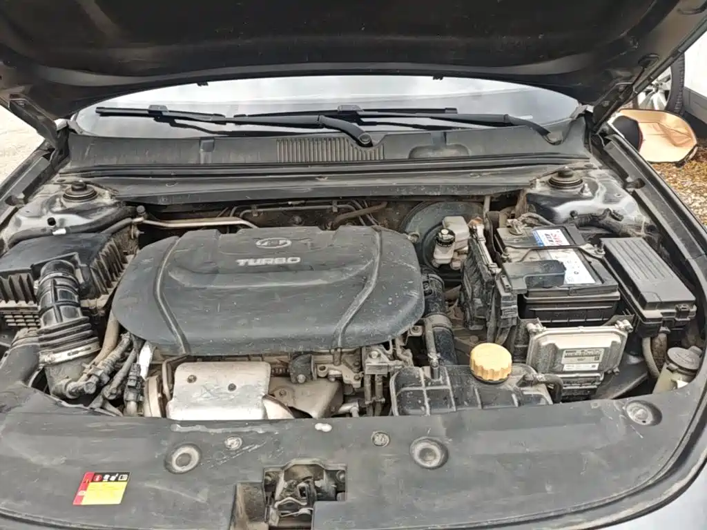 Baojun Valli 2021 2021 1.5T Dali Sky CVT Premium