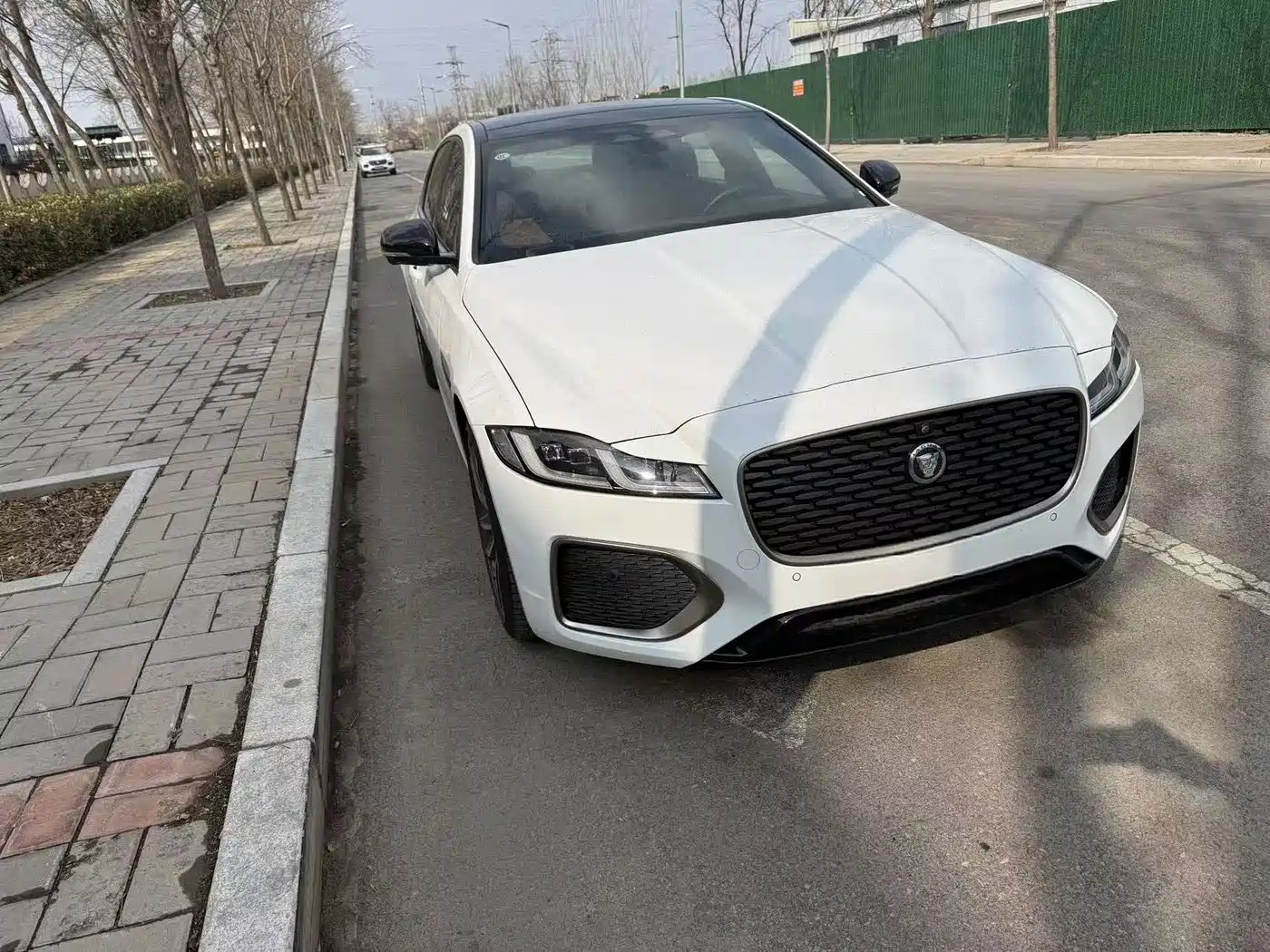 Jaguar XFL 2024 2024 2.0T P300 AWD Flagship Sport Gilded Edition