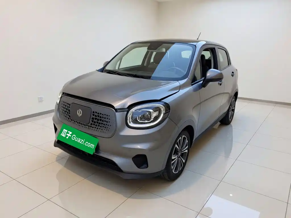 Leapmotor T03 2020 2020 400 Luxury Edition