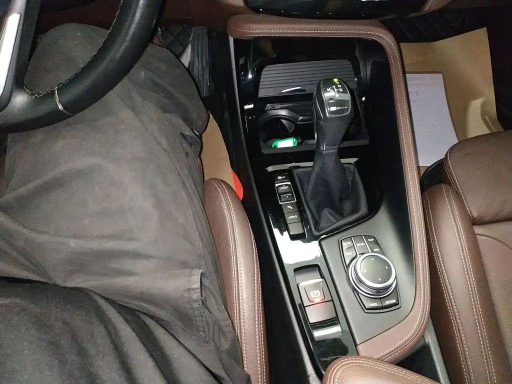 BMW X1 New Energy 2019 2018 xDrive25Le Luxury Model
