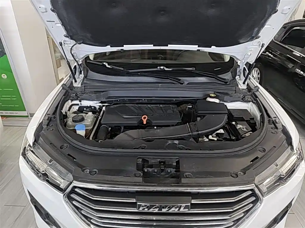 Haval H4 2019 1.5GDIT DCT Luxury Smart Connection China VI фото 20