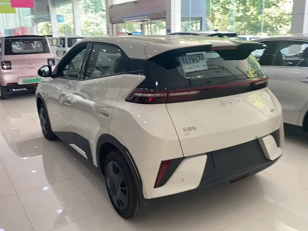 BYD Seagull 2026 2025 Smart Drive Edition 305km Vitality Version