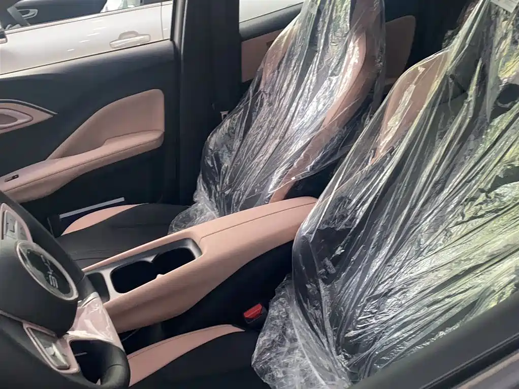 BYD Seagull 2026 2025 Smart Drive Edition 305km Vitality Version