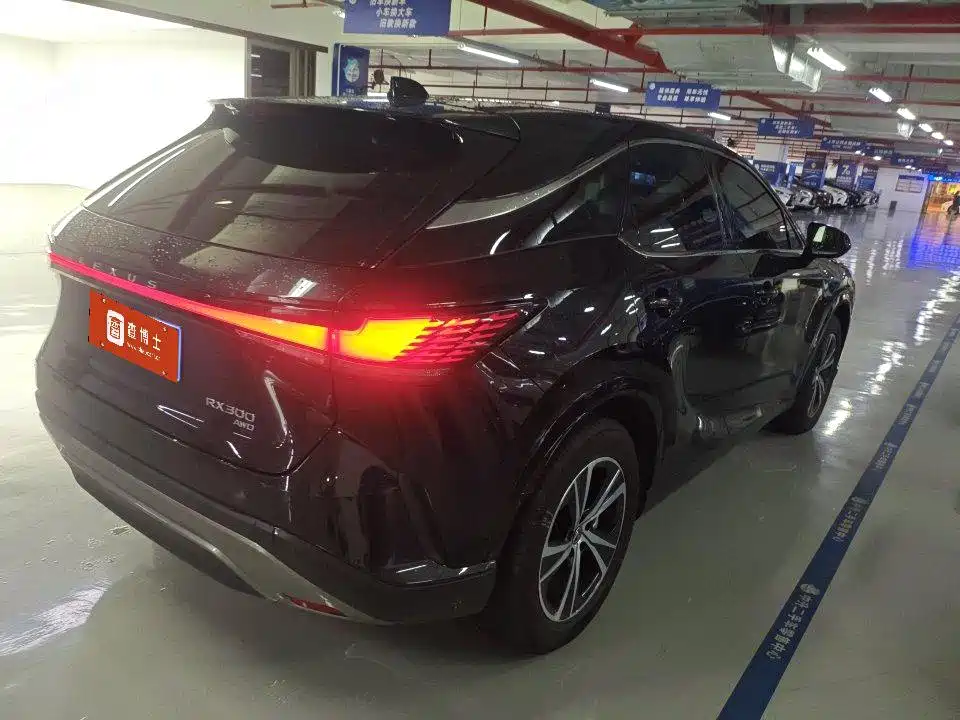 2025 Lexus RX