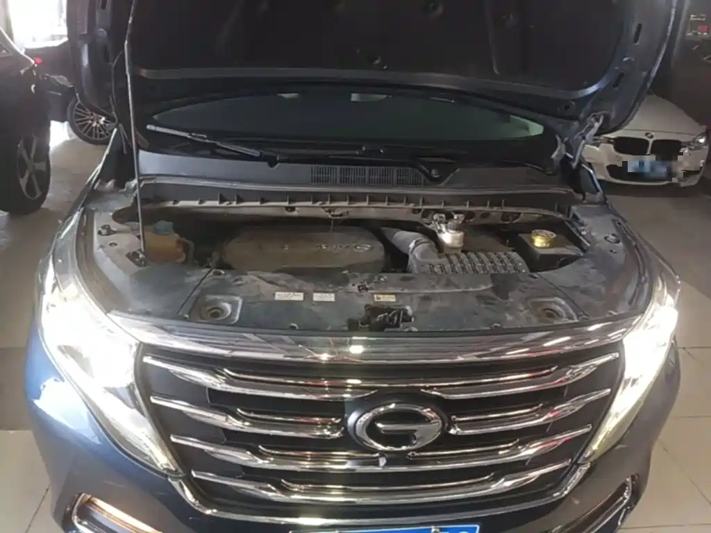 GAC Trumpchi M8 2018 2018 320T Premium Edition
