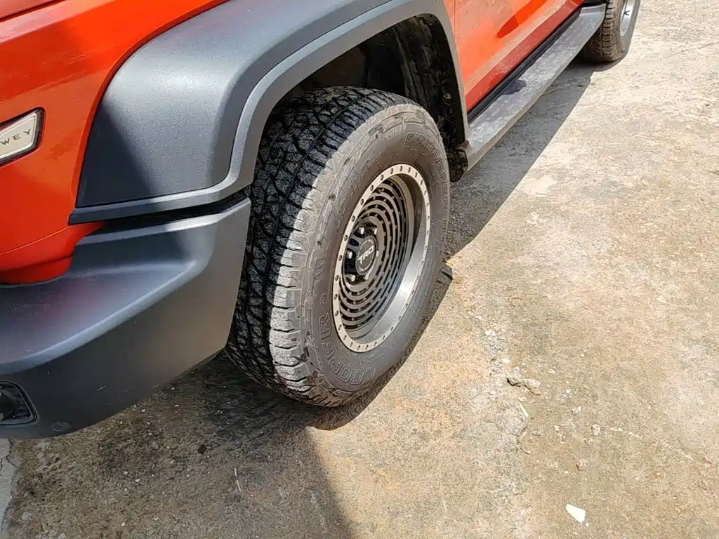Tank 300 2021 2021 Off-road Version 2.0T Conqueror
