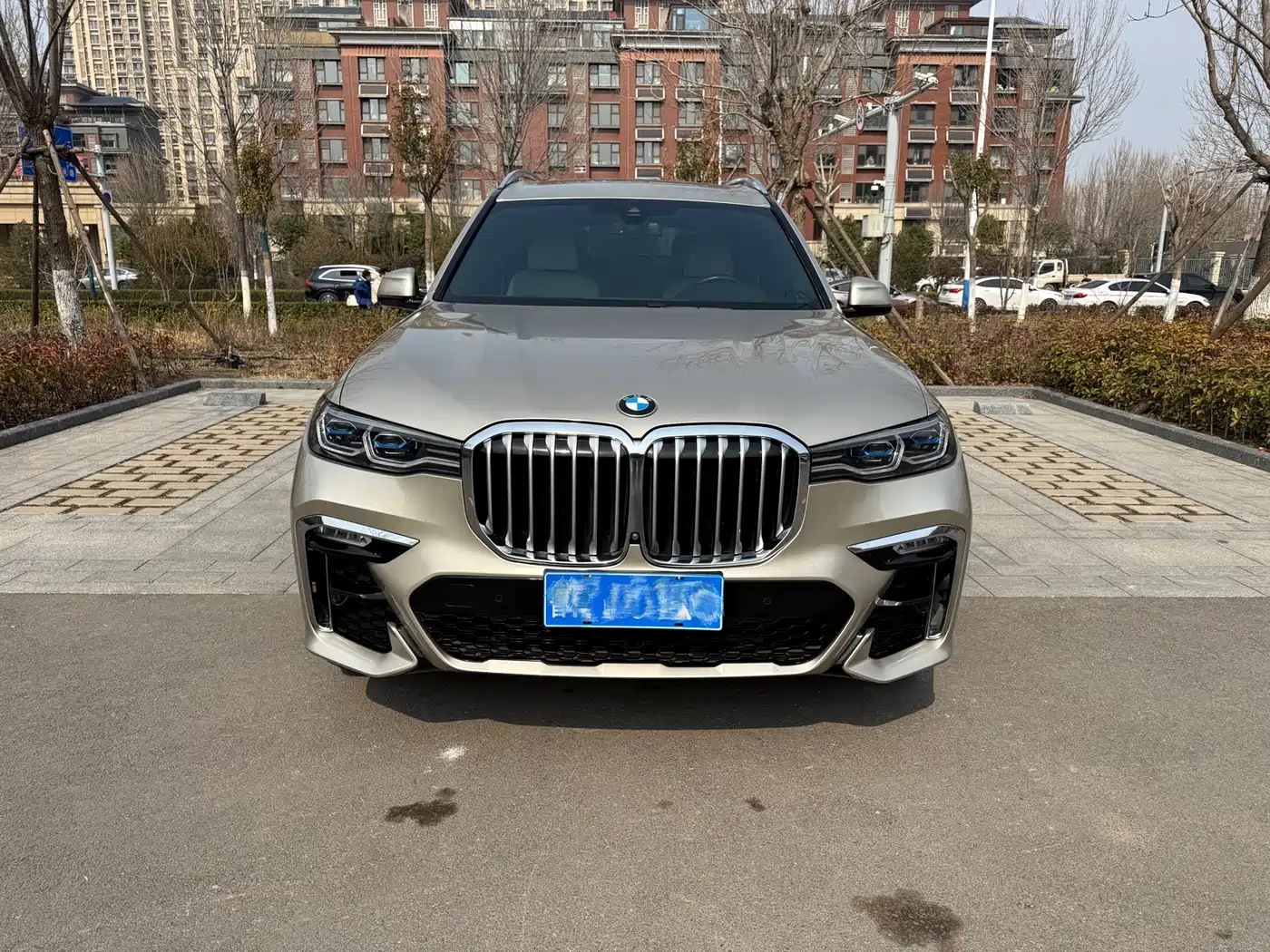 BMW X7 2019 xDrive40i Executive M Sport Package фото 2