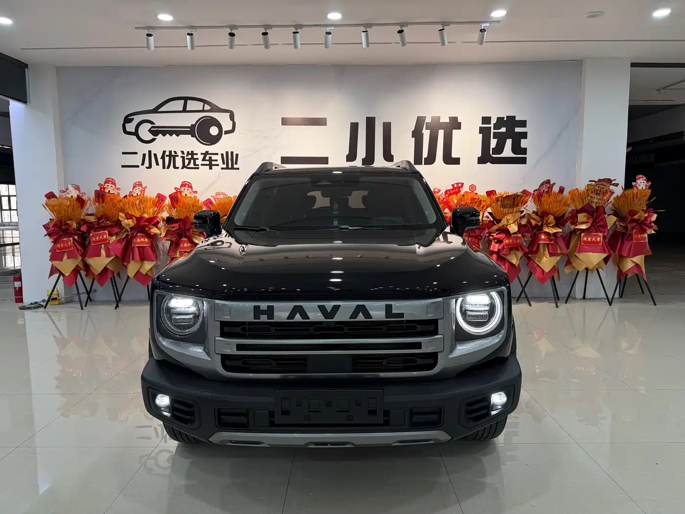 Haval Big Dog 2025 2024 1.5T DCT Border Collie Edition