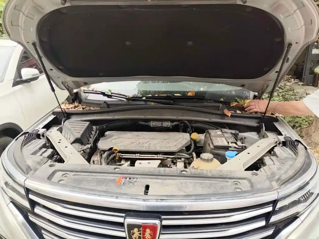 Фото 3 - Roewe RX5 MAX
