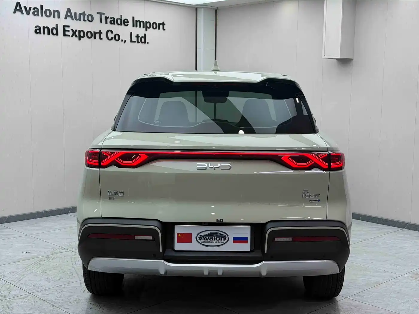 BYD Yuan UP 2025 2025 Smart Drive Edition 401KM Vitality Version