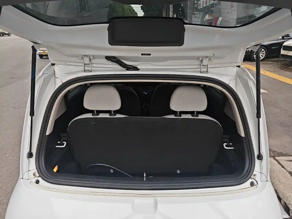 Ora White Cat 2021 2020 305km Luxury