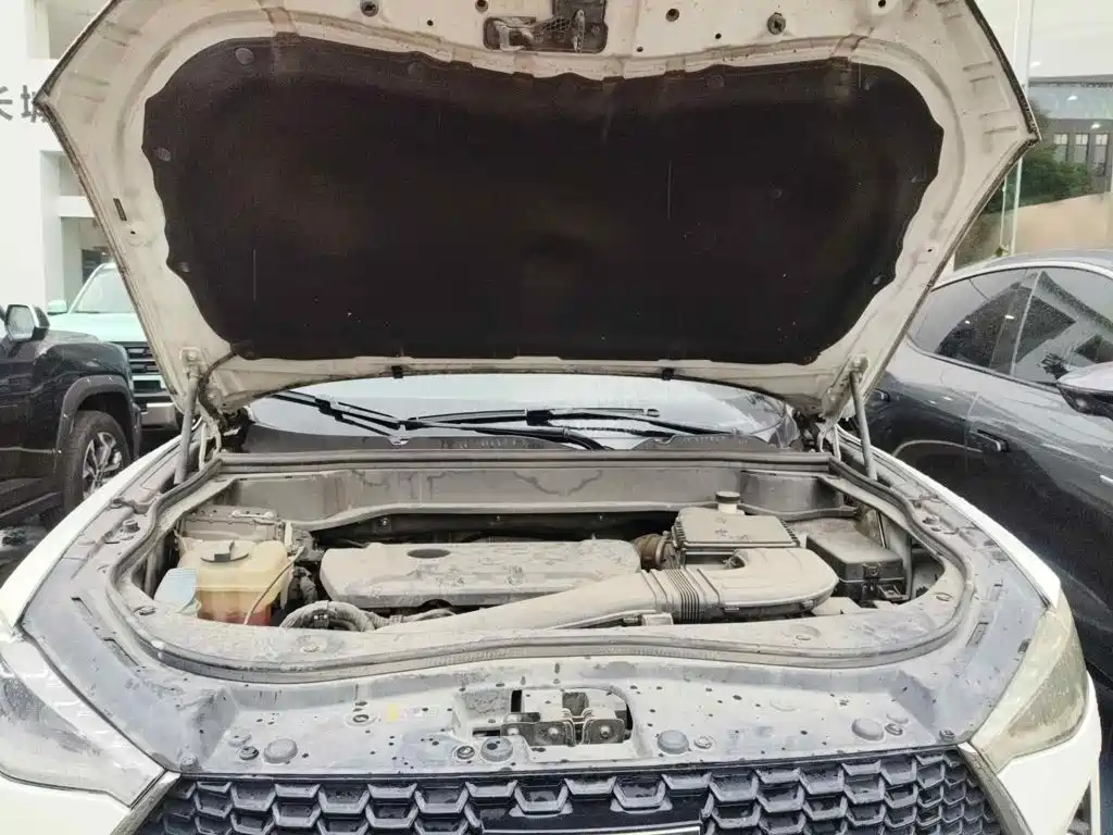 Haval F7 2019 2019 2.0T 4WD i-Joy China VI