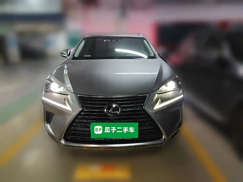 Фото 24 - Lexus NX