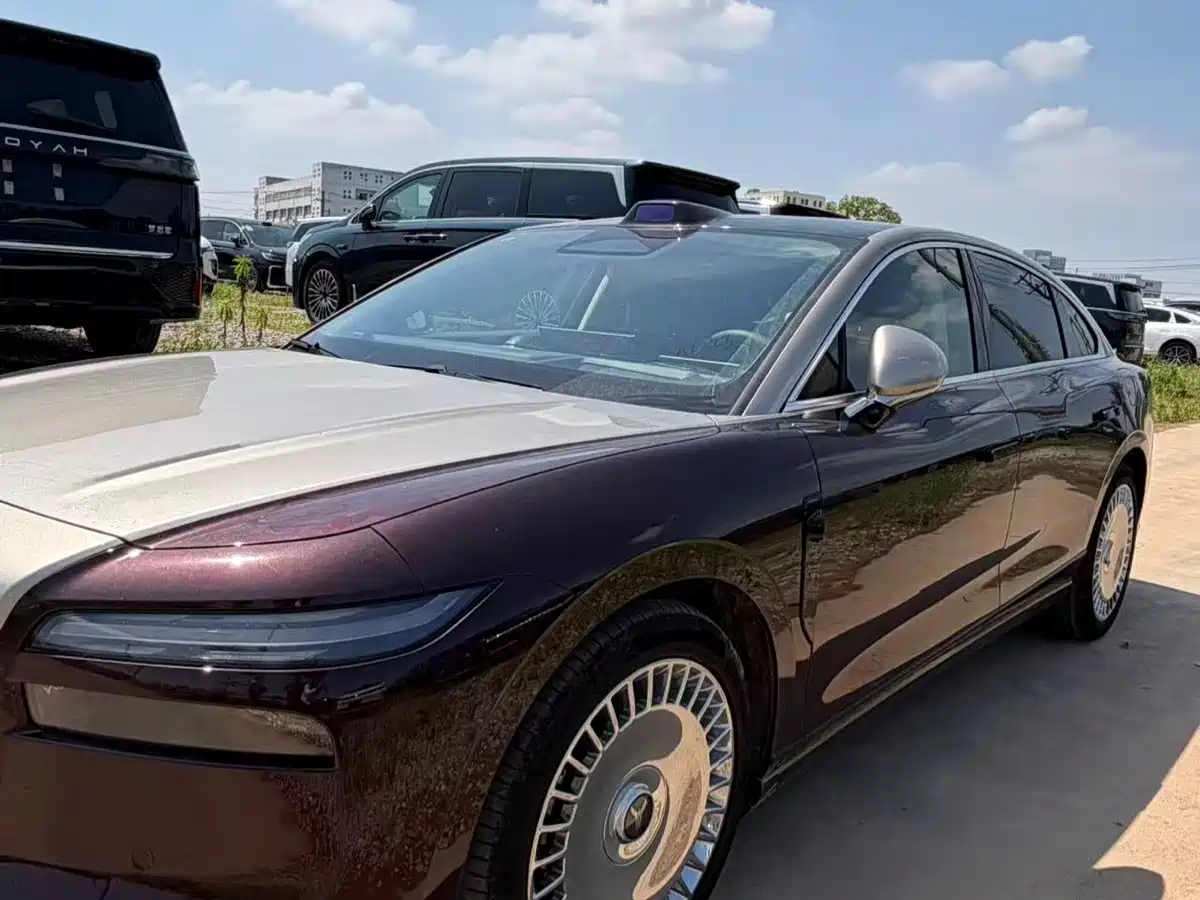 Voyah Auto VOYAH Zhuiguang L 2025 2025 Mid-configuration Model