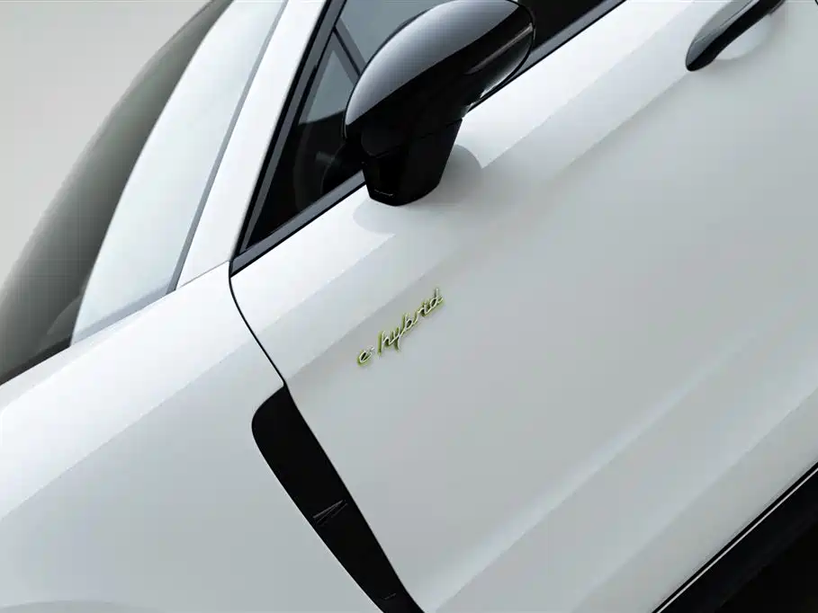 PORSCHE PANAMERA NEW ENERGY