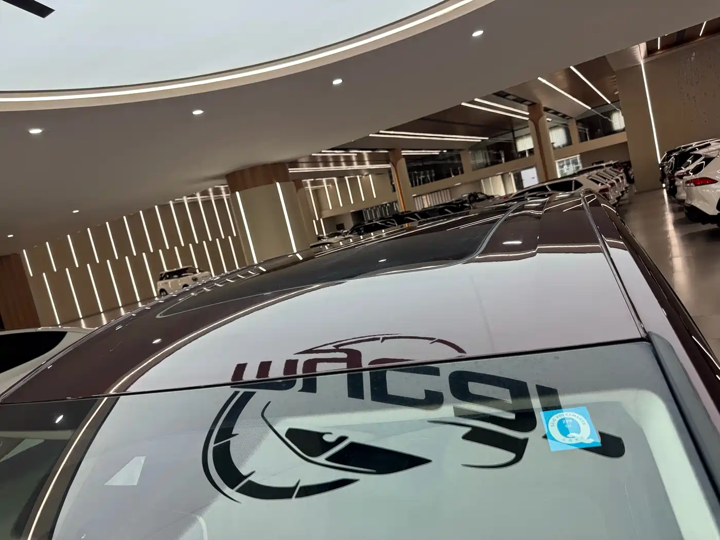 Volkswagen Viloran 2022 330TSI Luxury Edition фото 39