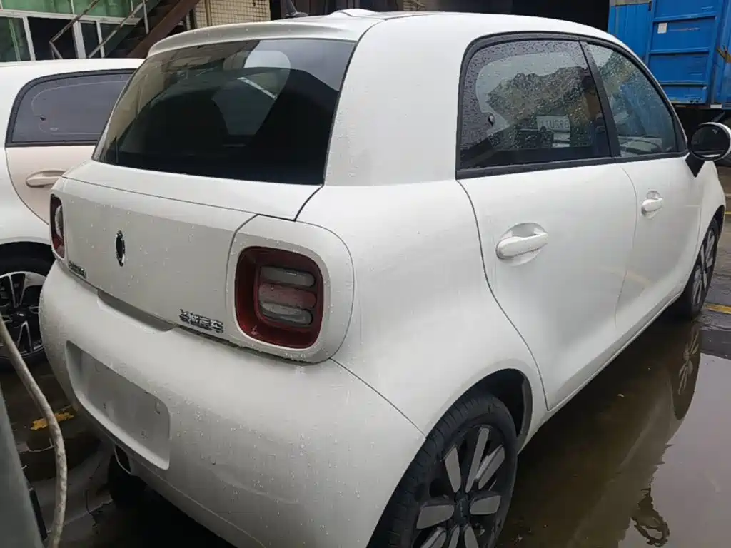 Ora Black Cat 2019 2019 Model 351km Smart Intelligence Edition