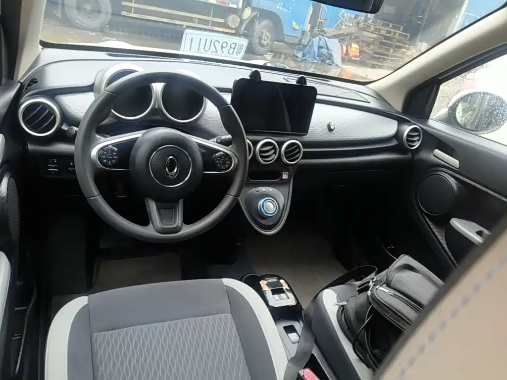 Ora Black Cat 2019 2019 Model 351km Smart Intelligence Edition