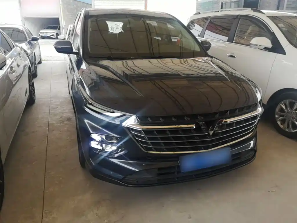 Фото 3 - Wuling Motors Wuling Victory