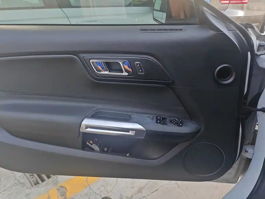 Ford Mustang 2015 2015 2.3T Performance Edition