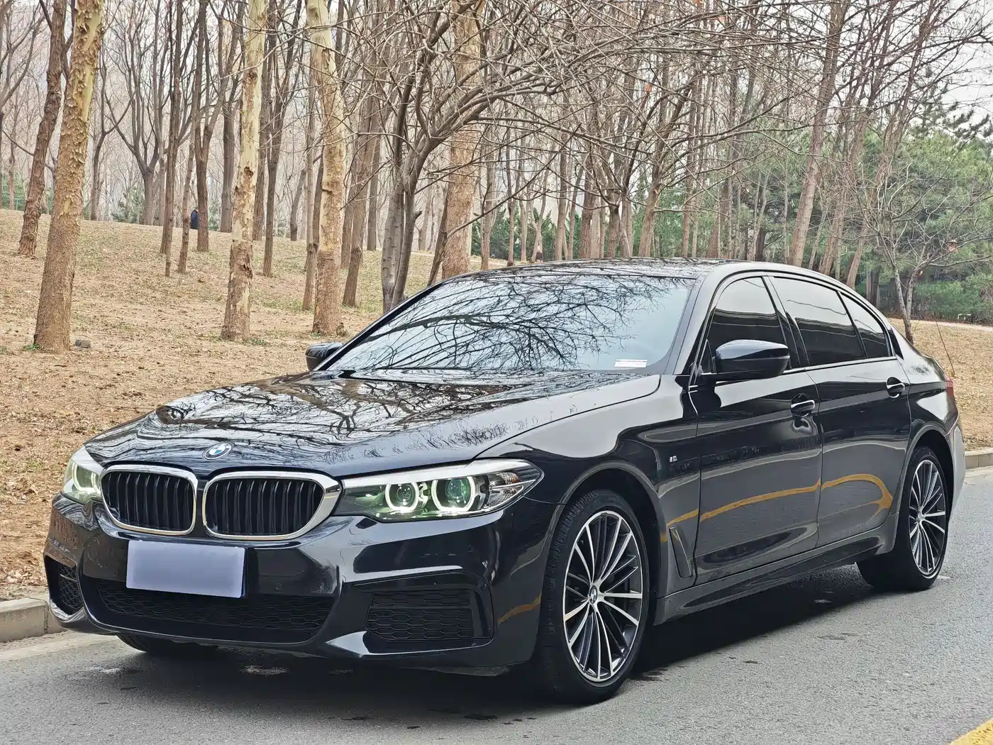 BMW 5 Series 2019 Facelift 530Li Leading M Sport Package