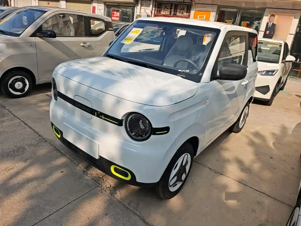 Geely Galaxy Panda 2026 2025 Panda mini 210km Vitality Bear