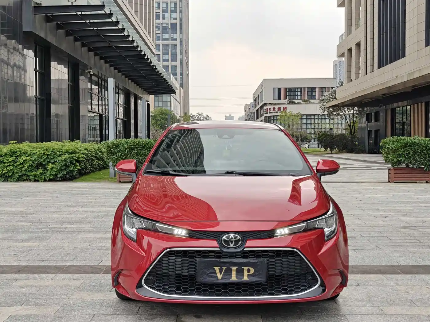 Toyota Levin 2021 185T CVT Luxury Edition фото 3