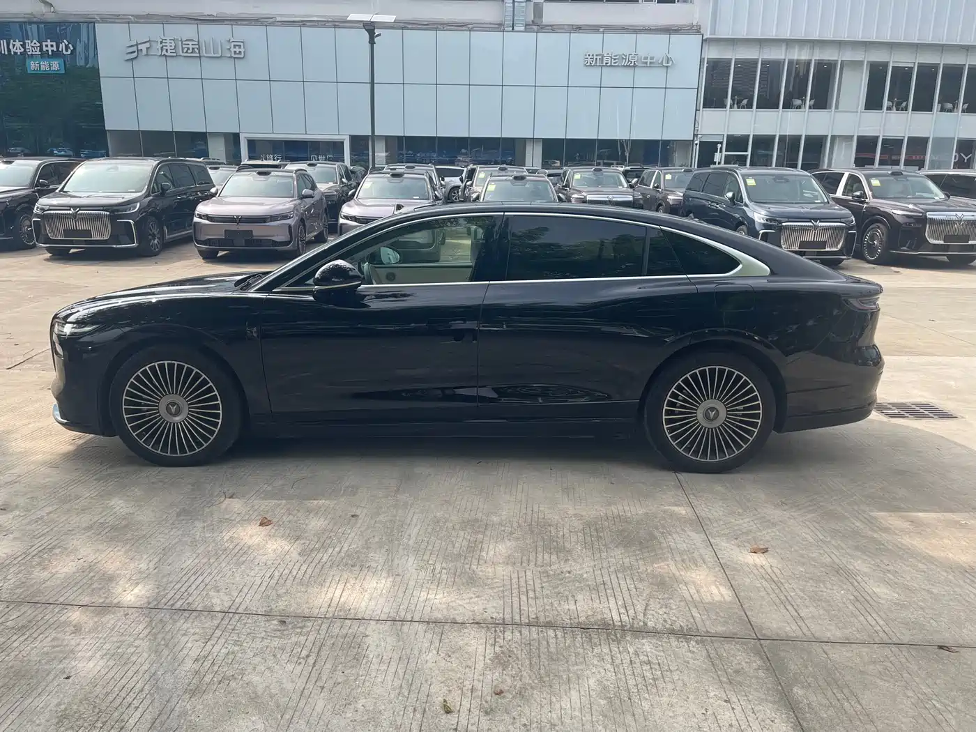 Voyah Auto VOYAH Zhuiguang L 2025 2025 Mid-configuration Model
