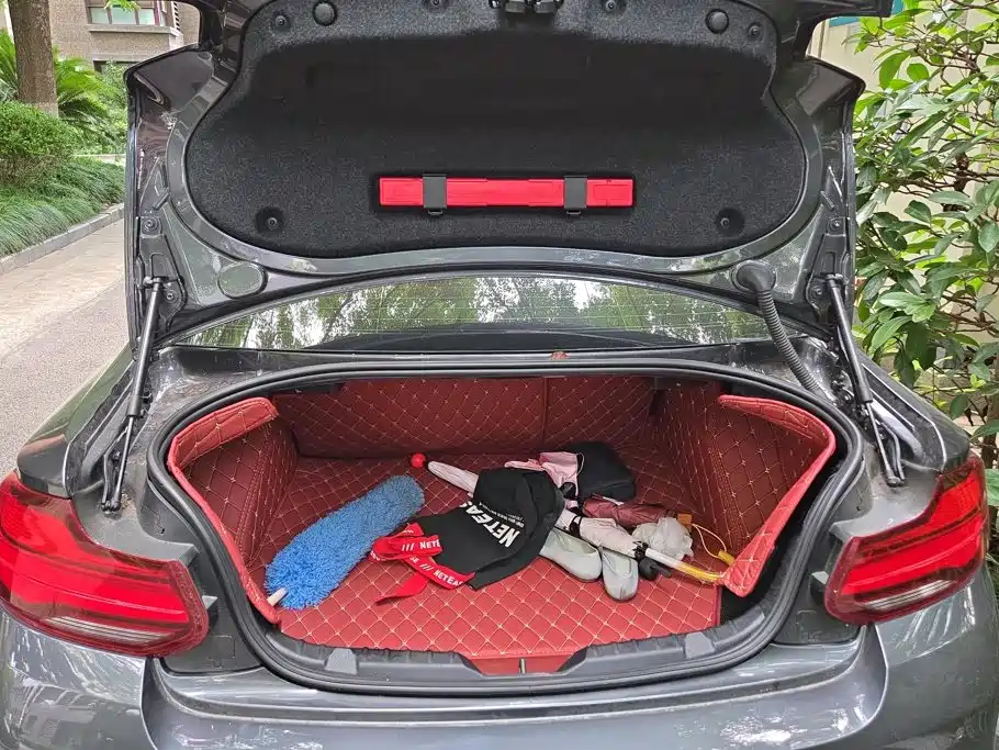 Photo 4 - BMW 2 Series (Import)