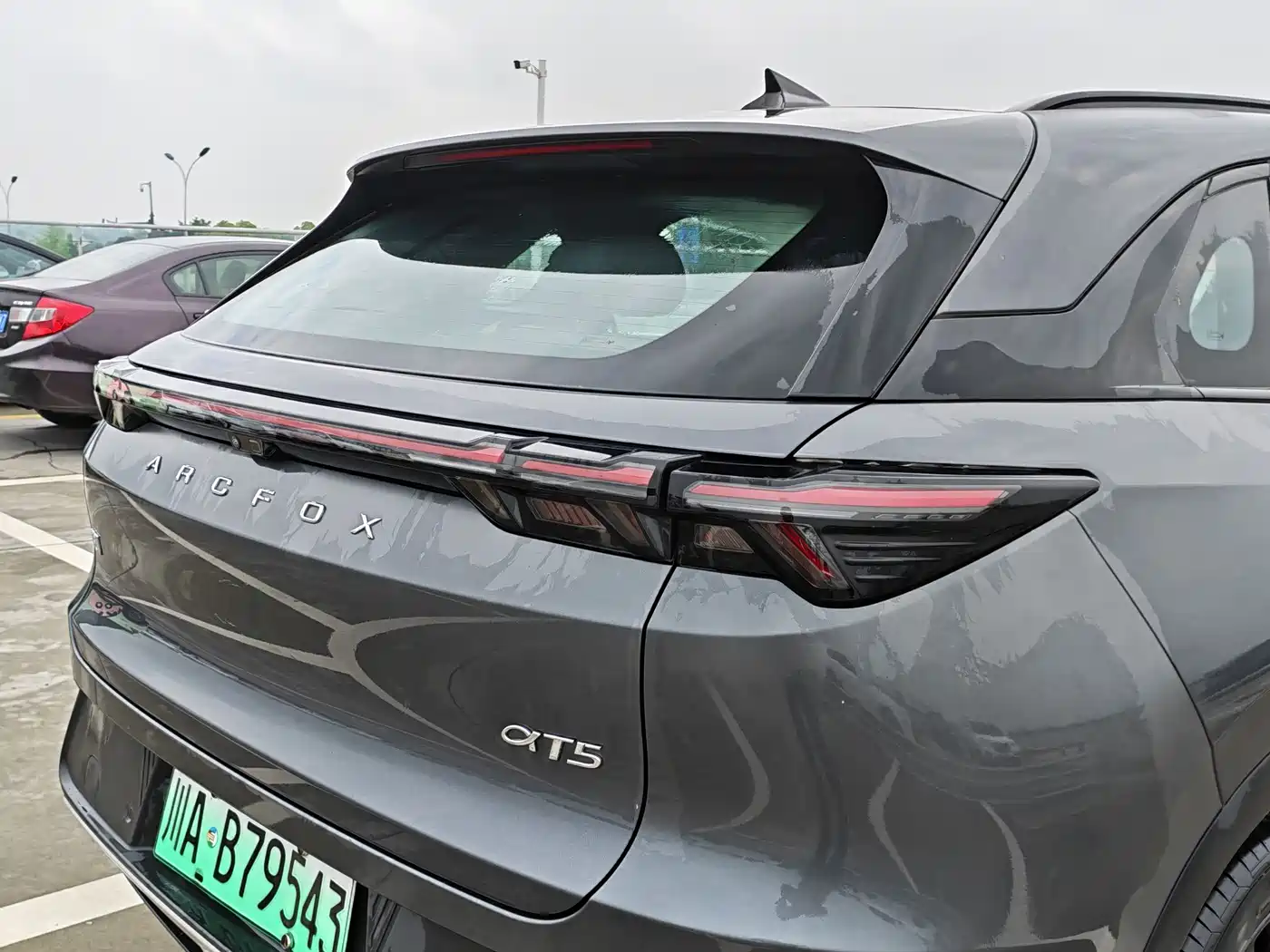 ARCFOX EXTREME FOX POLAR FOX ALPHA T5