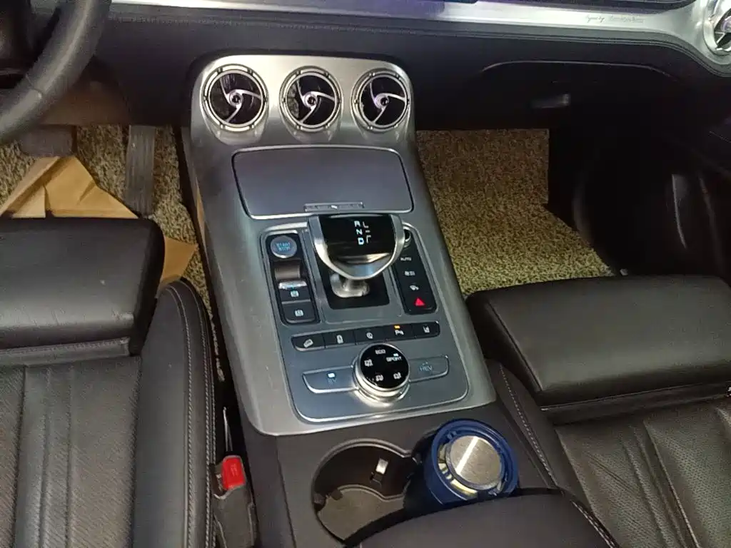 Denza X 2021 2020 Model PHEV Flagship Edition