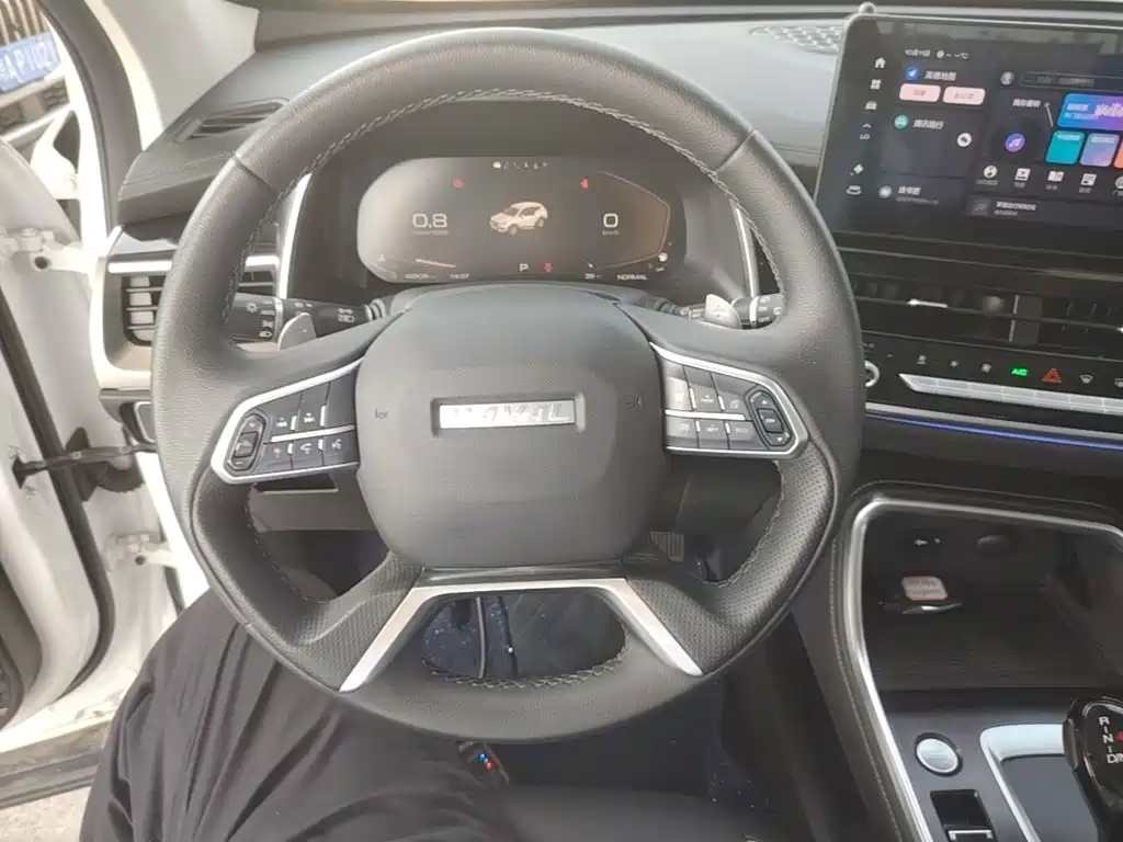 Фото 11 - Haval H6