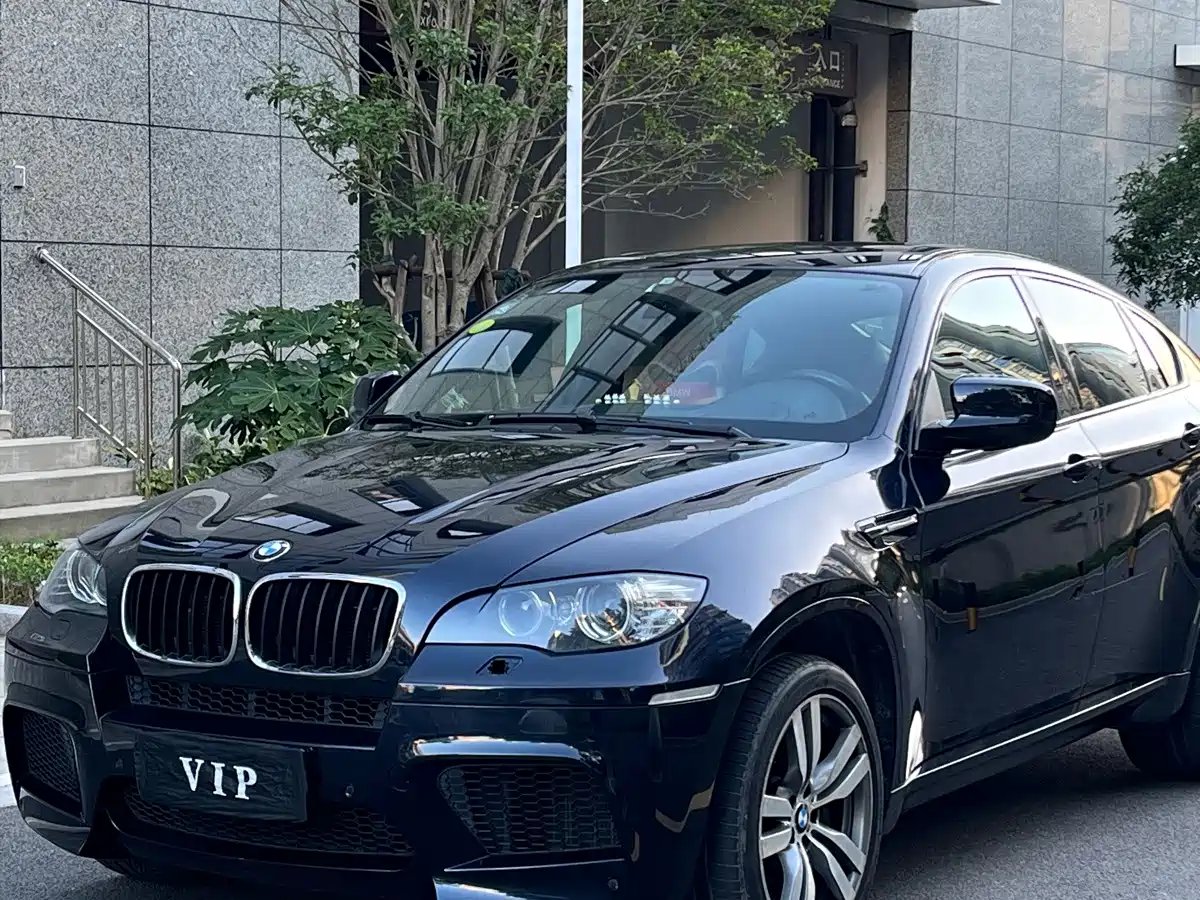 BMW X6 M 2011 2010 X6 M