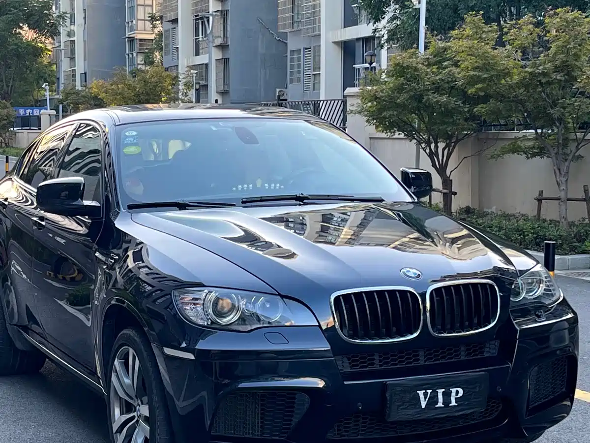 BMW X6 M 2011 2010 X6 M