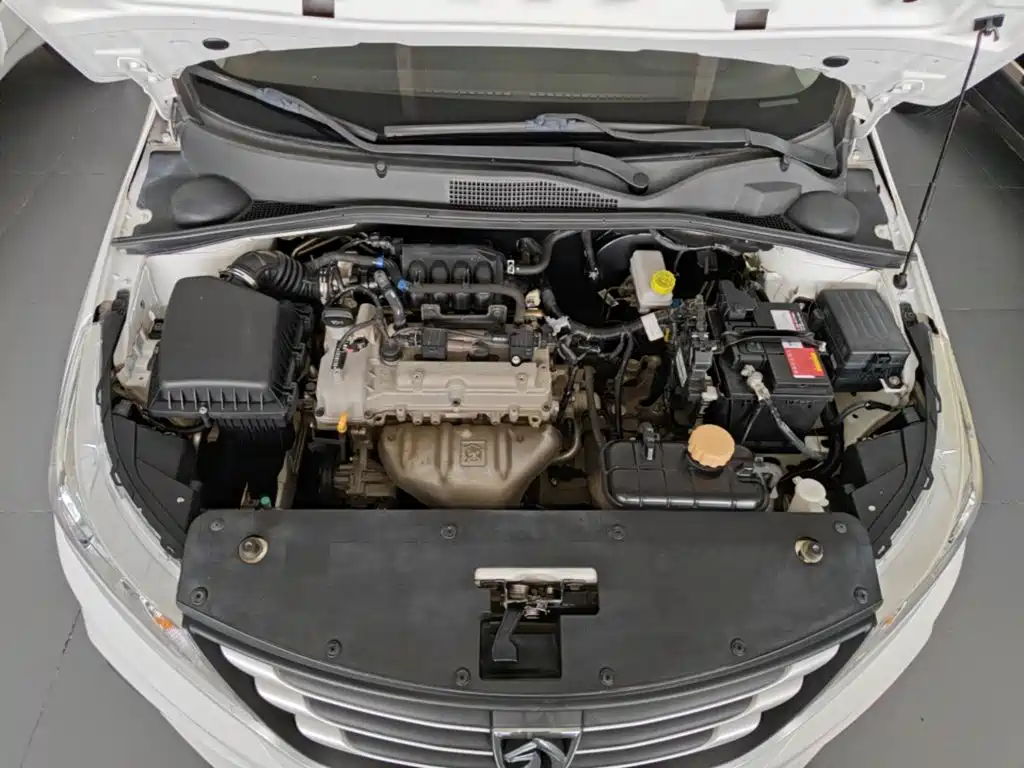 Baojun 310 2019 2016 1.2L Manual Comfort Model