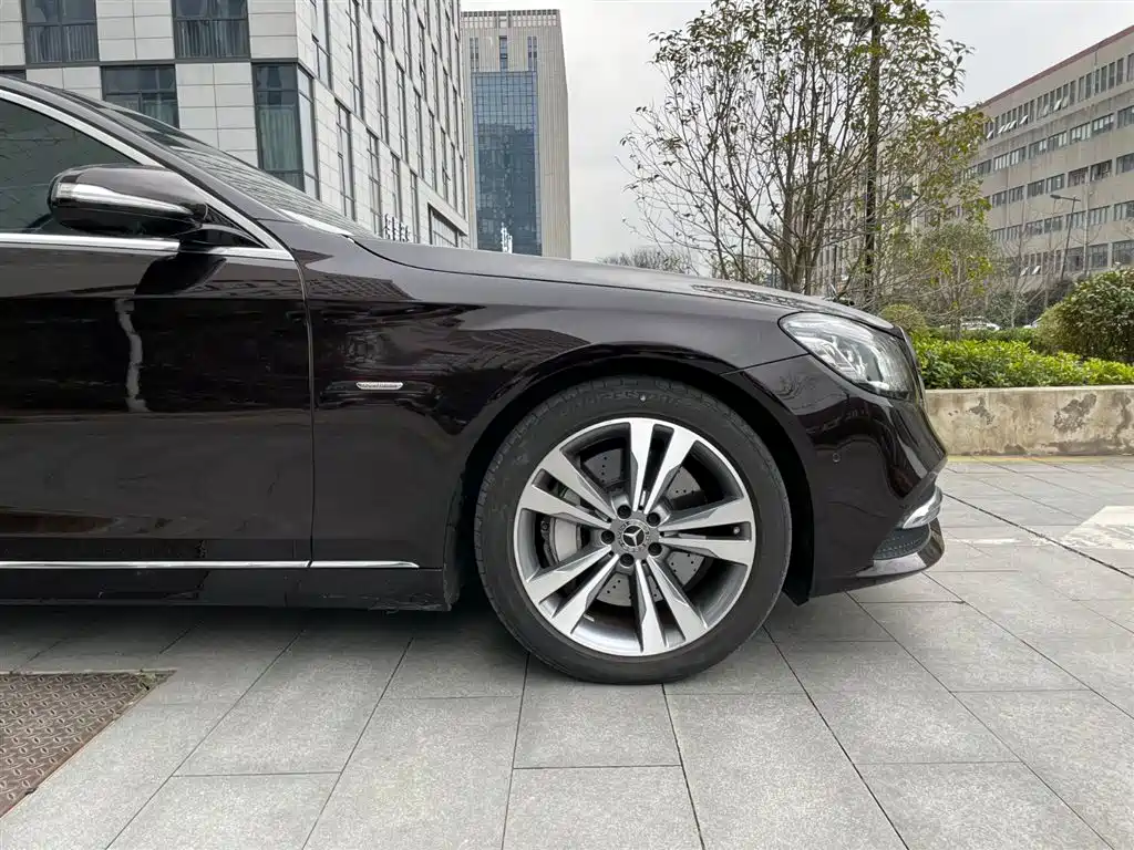 Mercedes-Benz S-Class 2020 S 350 L Premium Edition Collector's Version фото 24