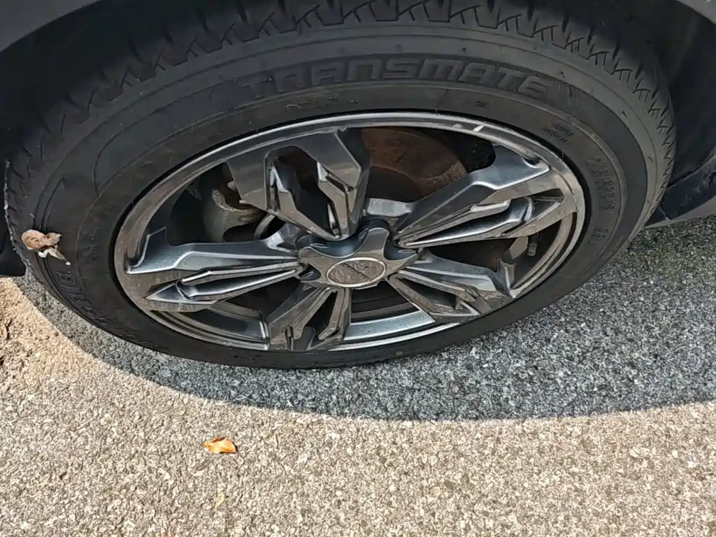 Leopaard CS9 2019 2018 1.5T CVT Vigorous Edition