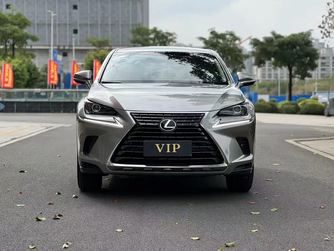 Lexus NX 2018 Model 300 FWD Fengxing Edition фото 2