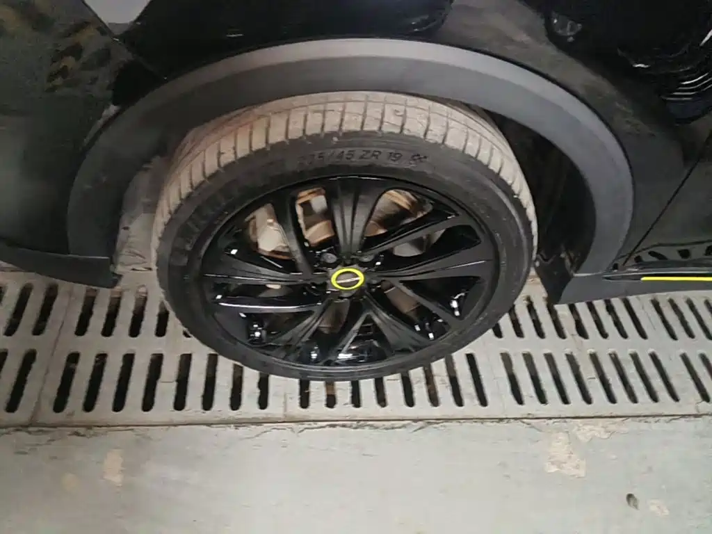 Фото 23 - Roewe RX5 New Energy