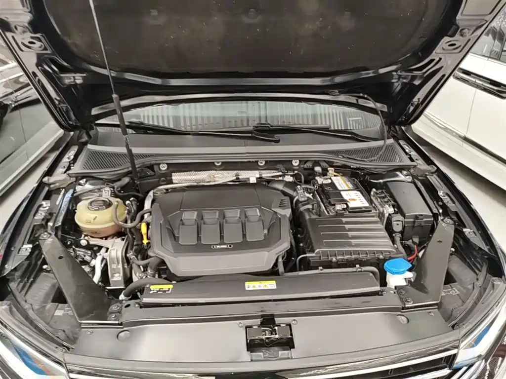 Volkswagen Magotan 2020 330TSI DSG Luxury фото 20