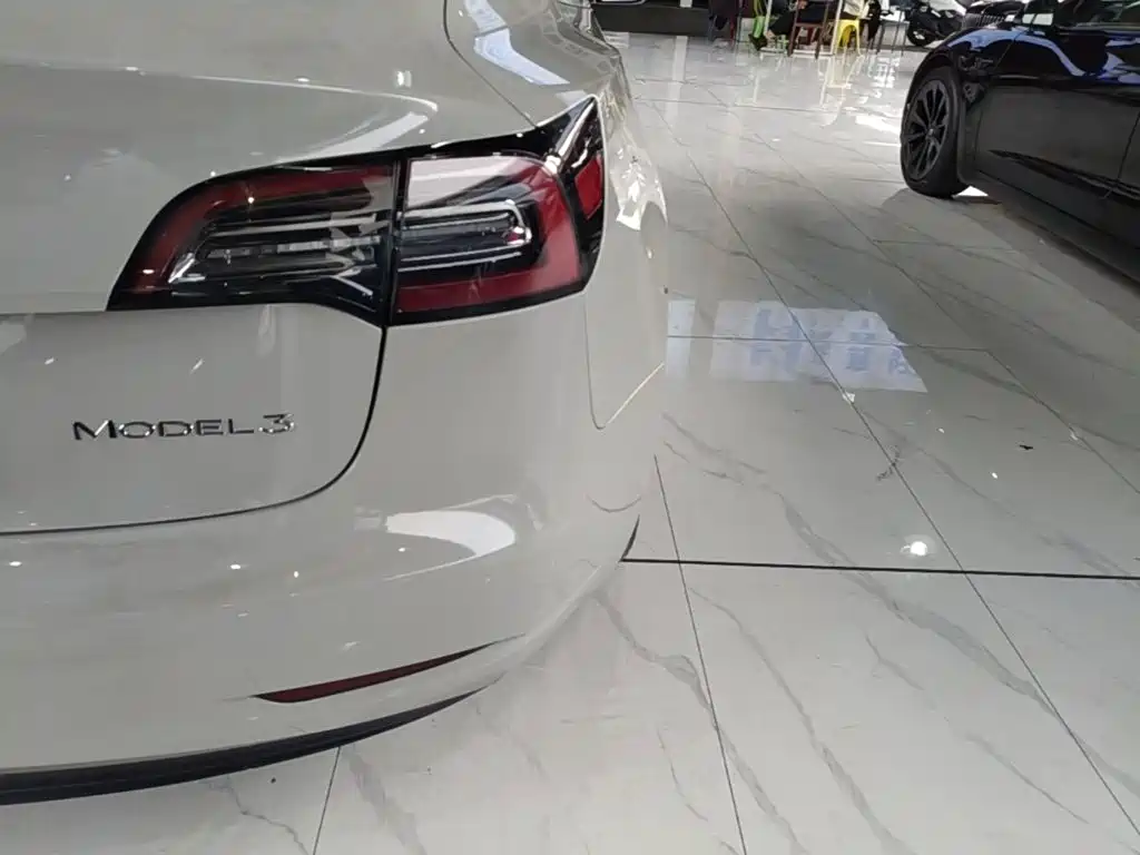 Tesla Model 3 2020 2020 Standard Range Rear-Wheel Drive Upgrade