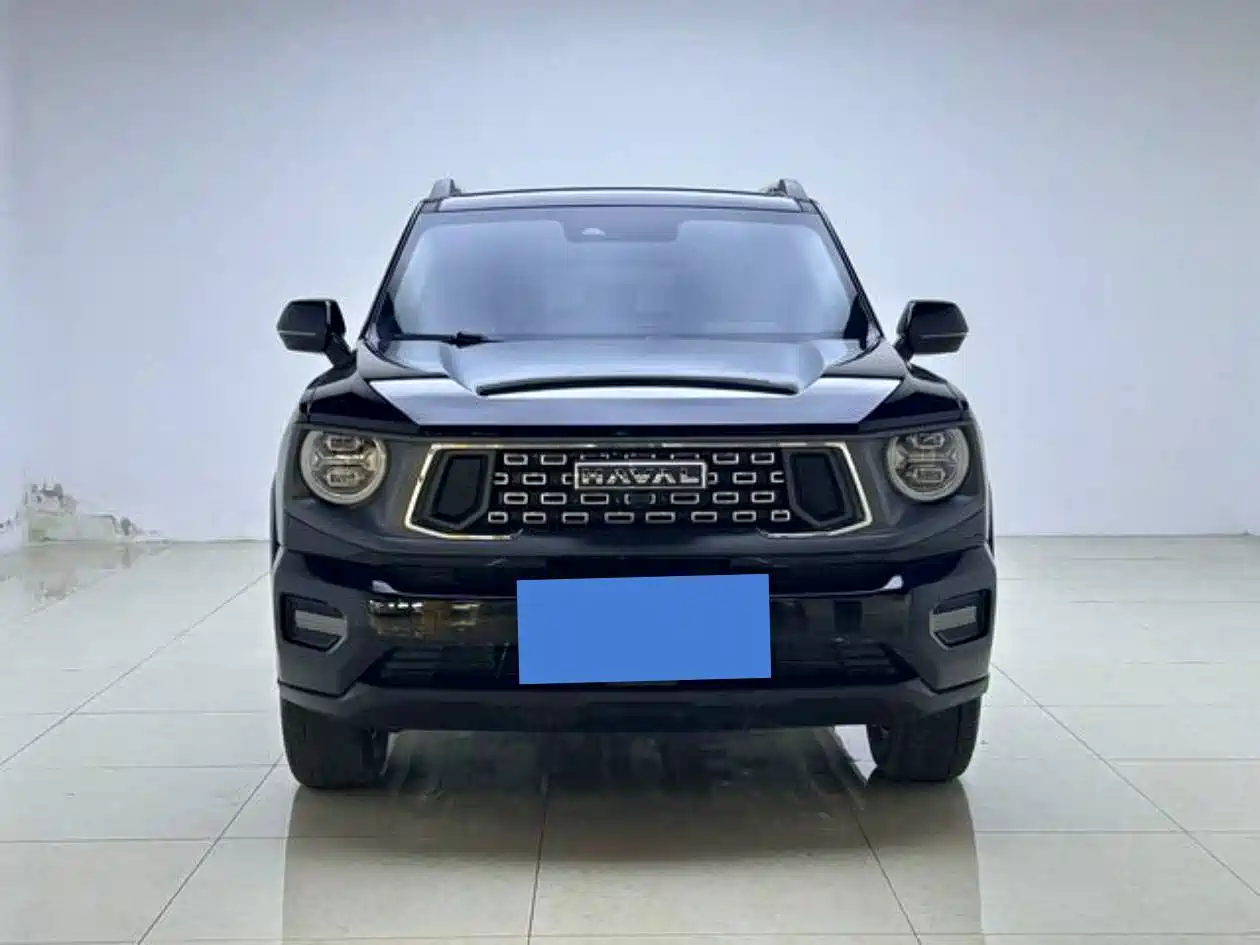 Haval Big Dog 2024 2.0T DCT Chinese Rural Dog Edition фото 2