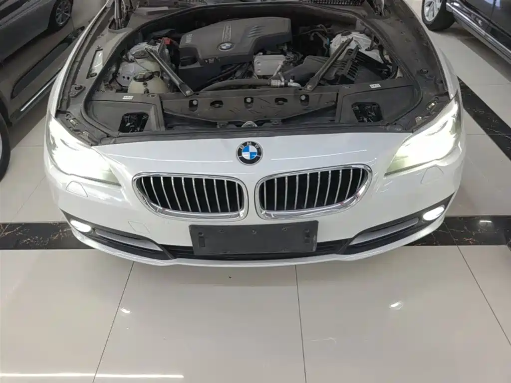 BMW 5 Series (Import) 2015 520i Elegance фото 19