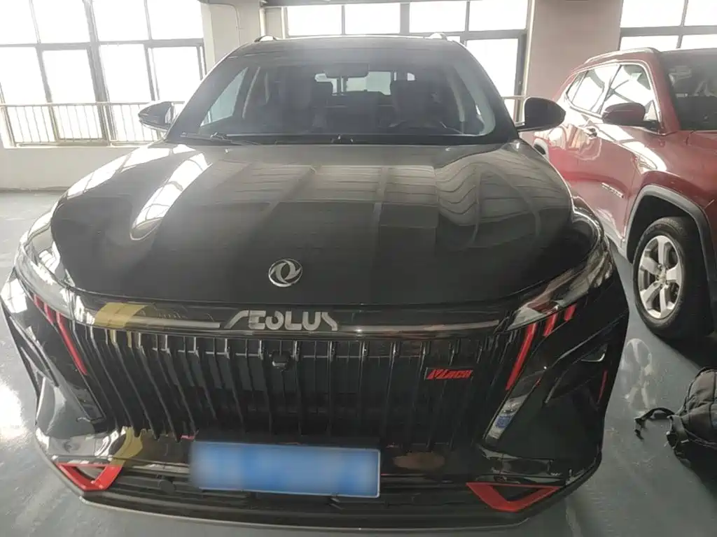 2024 Dongfeng Aeolus Haoji