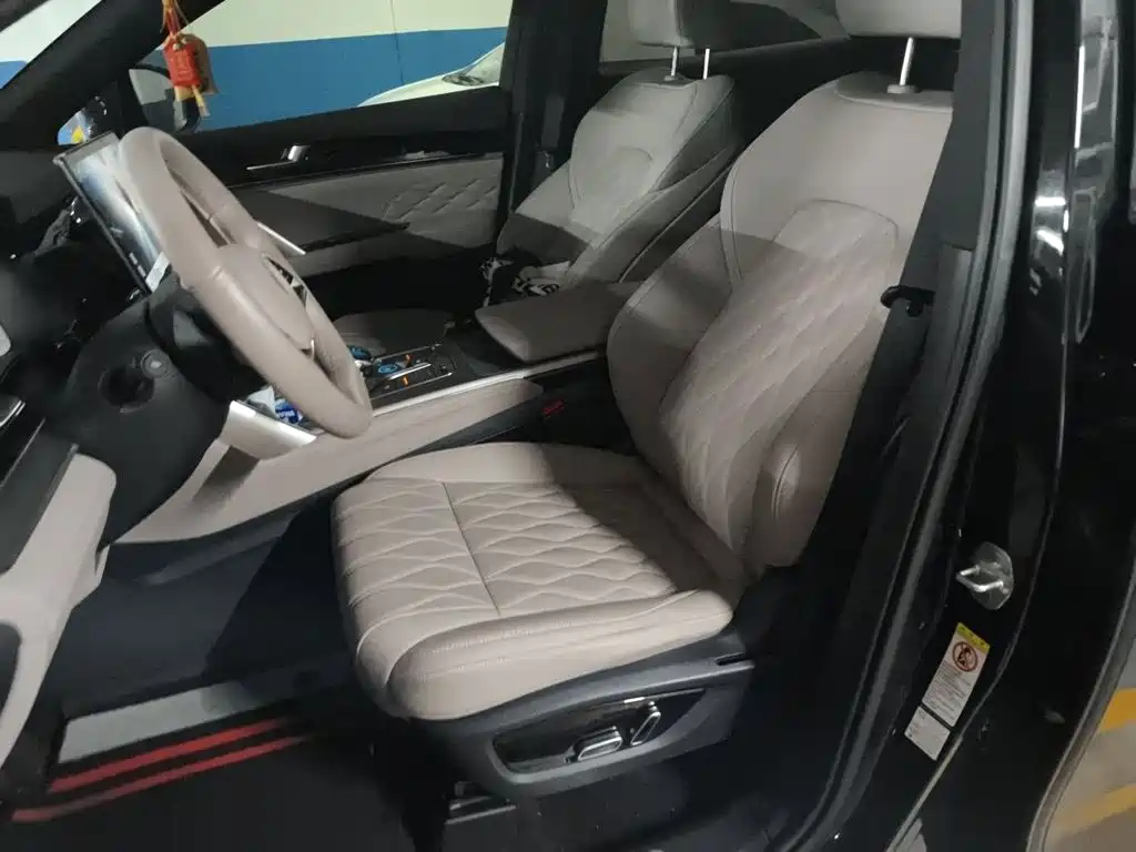 BYD Tang New Energy 2025 2025 Smart Driving Edition DM-i 115KM Premium