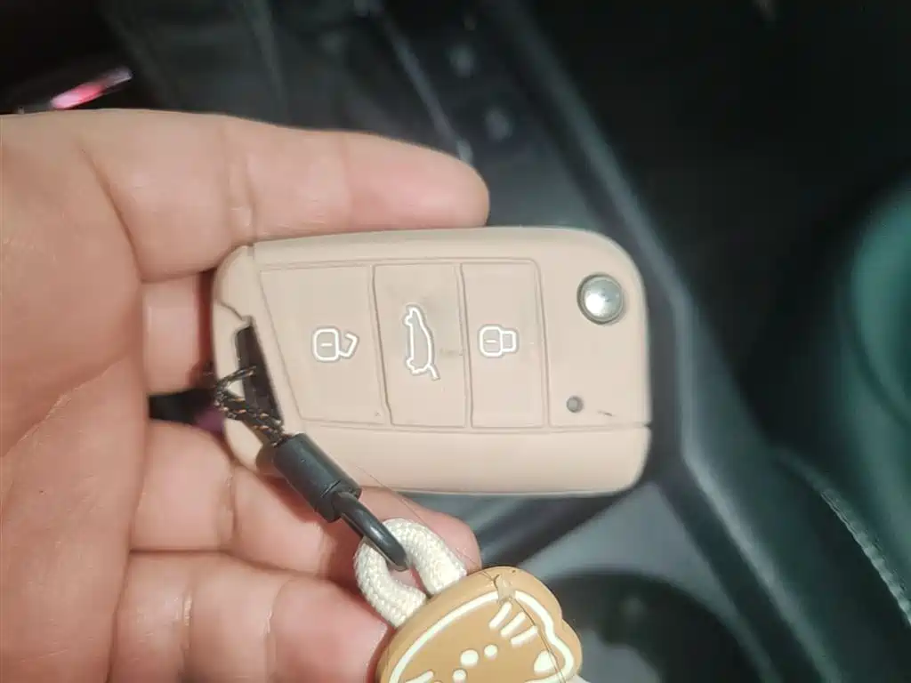 VOLKSWAGEN LINGDU