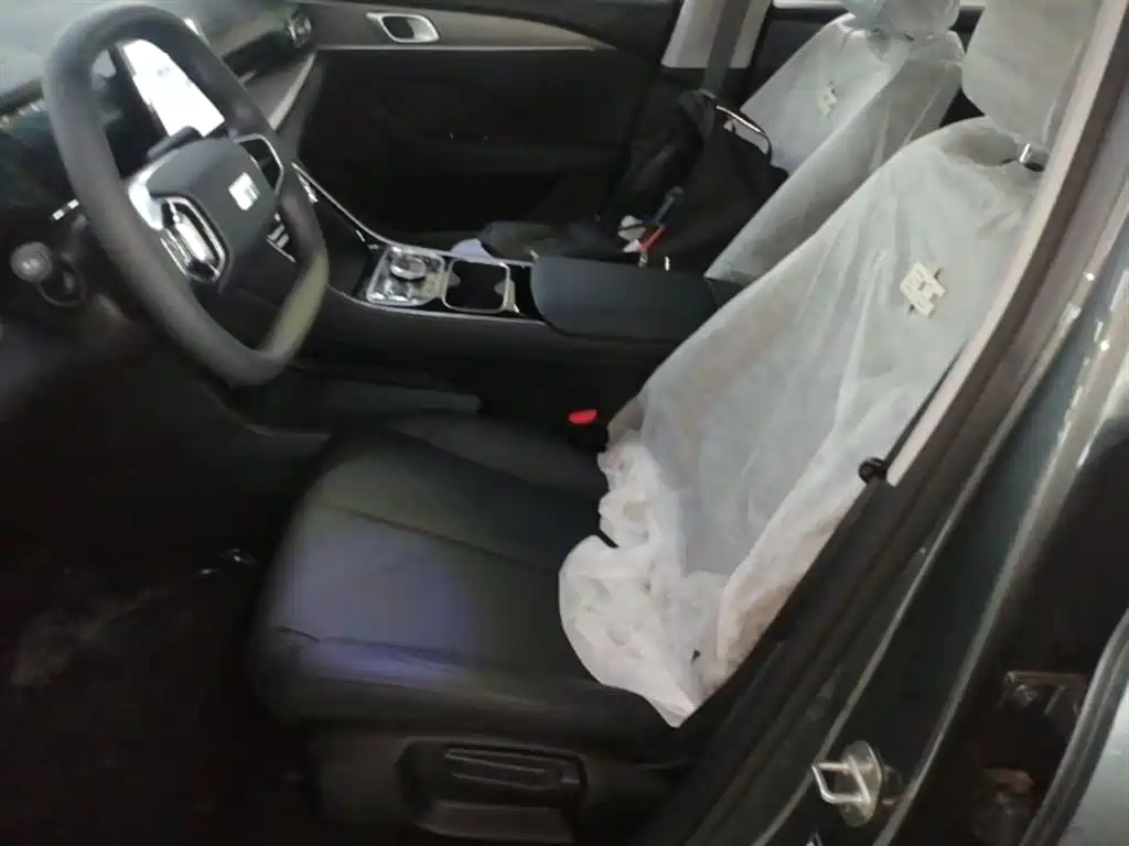 Geely Galaxy Galaxy Stellar 6 2025 Model 125km Free Edition фото 15