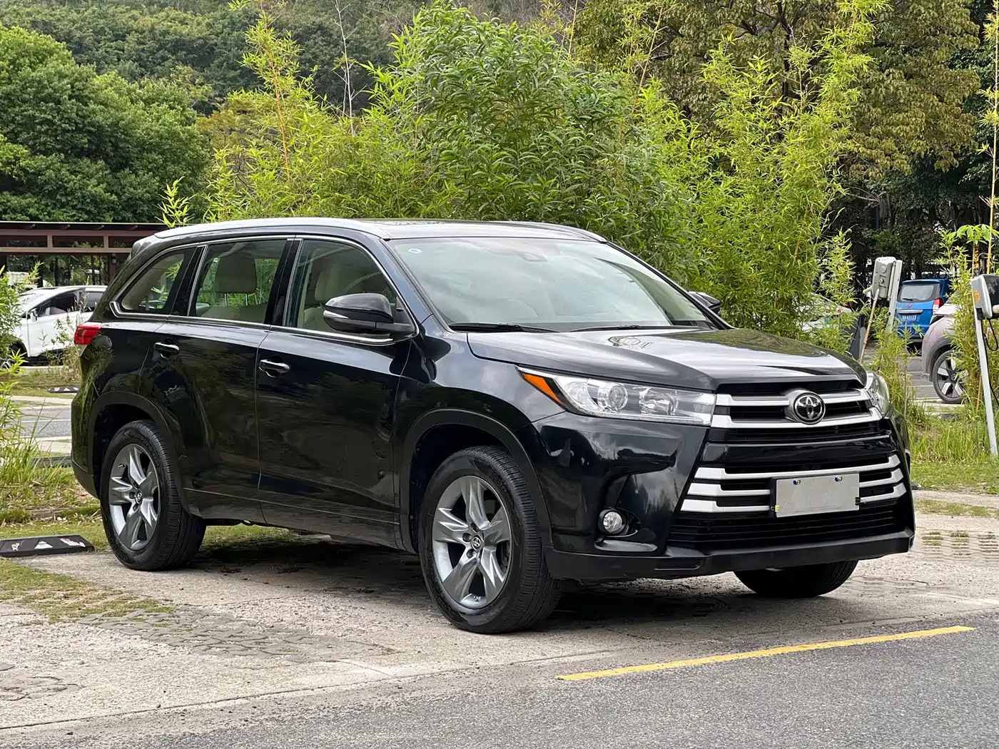 Toyota Highlander 2018 2.0T 4WD Luxury 7-seater (China V) фото 2
