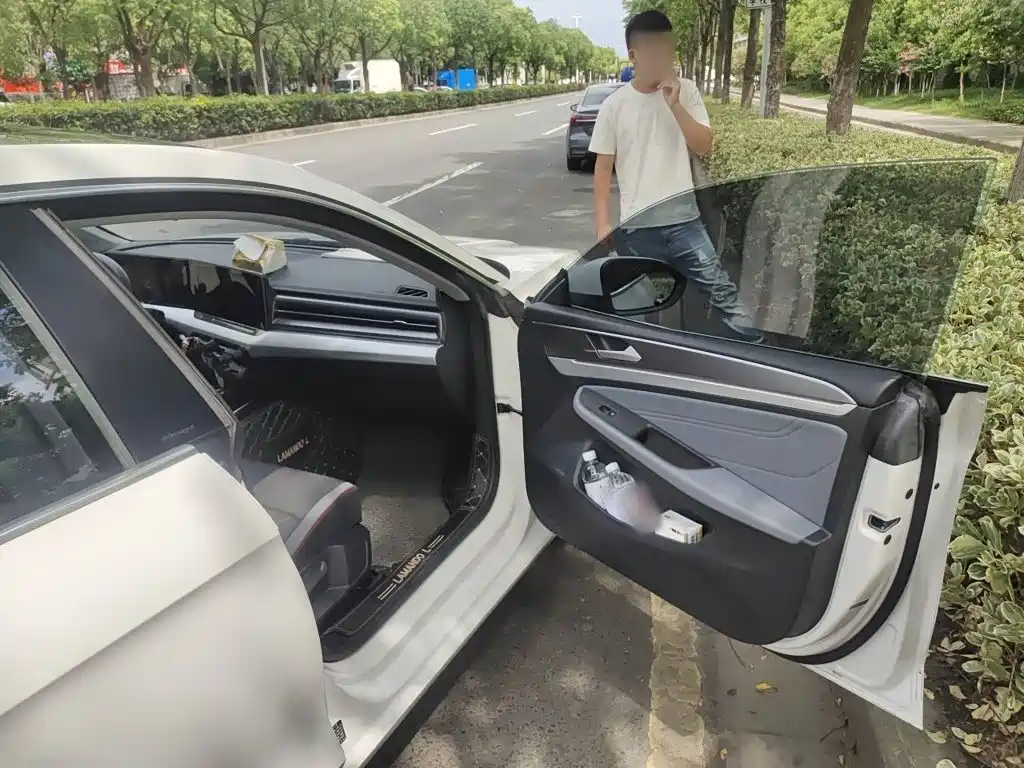Volkswagen Lamando, миниатюра 18